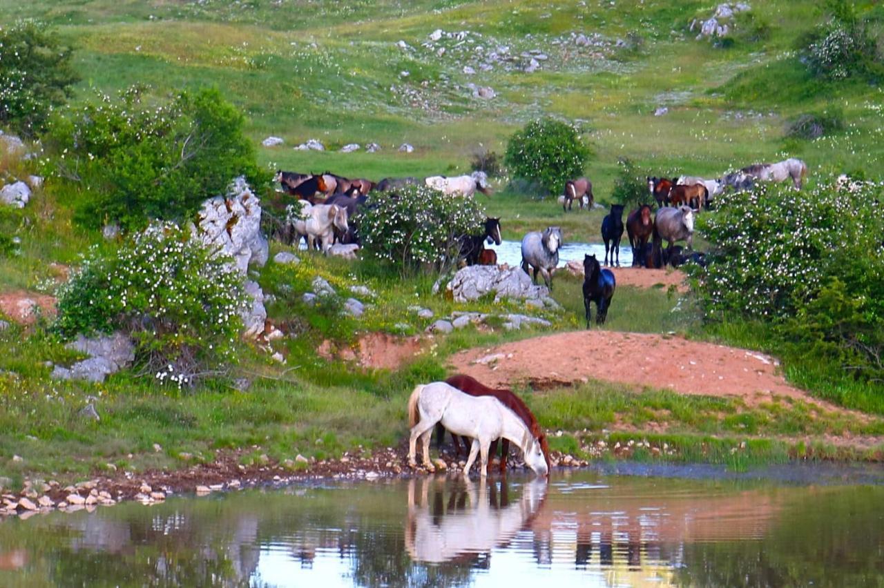 Apartman "Park" Livno Kültér fotó